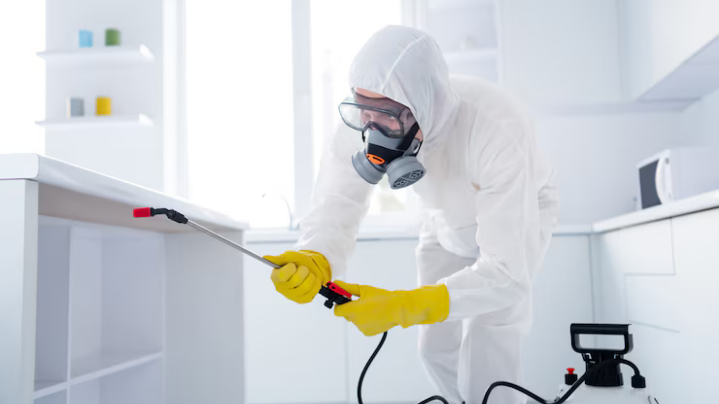 All kinds of pest control